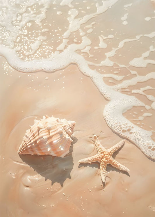 Conchas ao Amanhecer