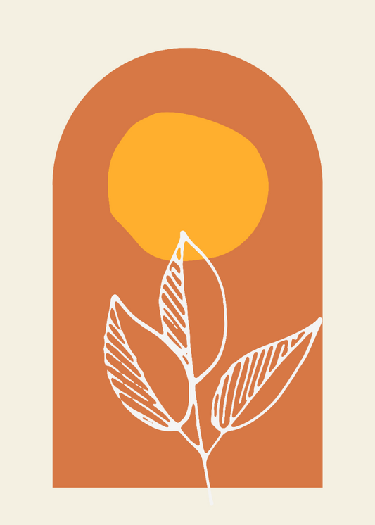 Florescer Geométrico