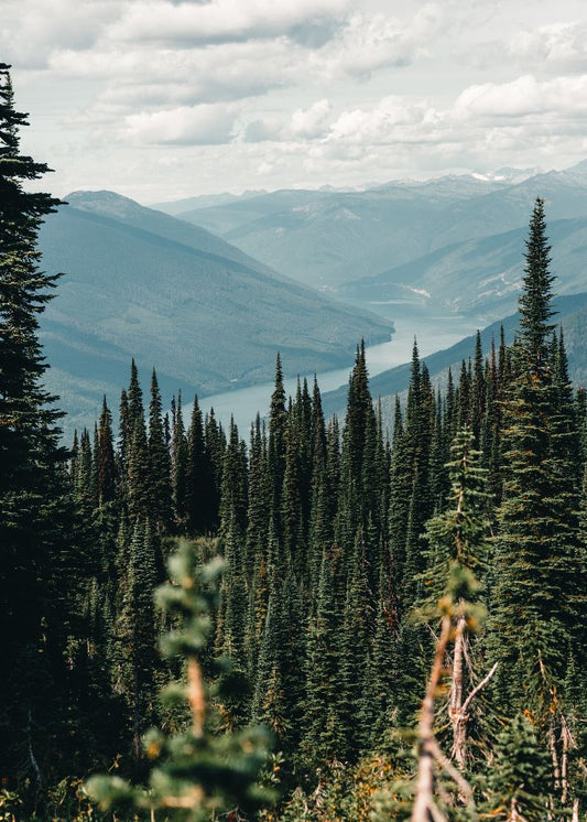 Horizonte das Montanhas