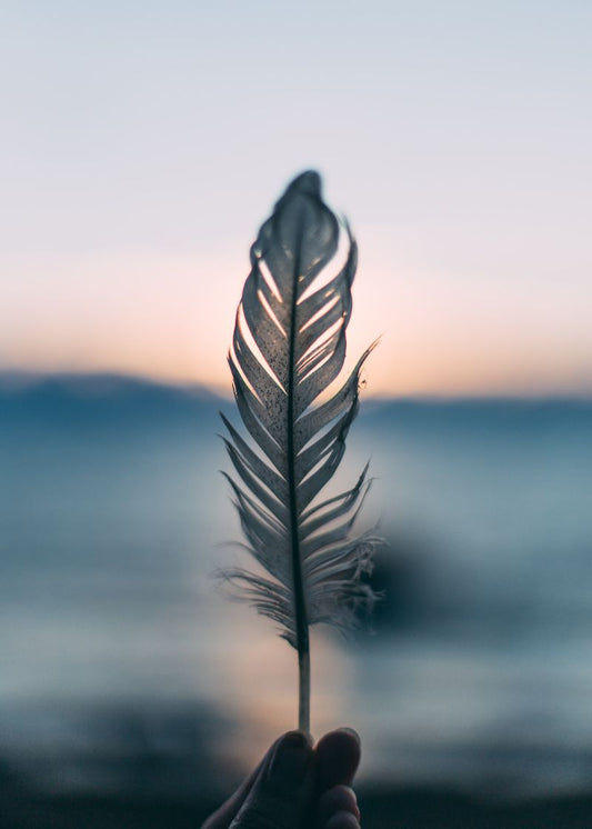 Leveza ao Entardecer