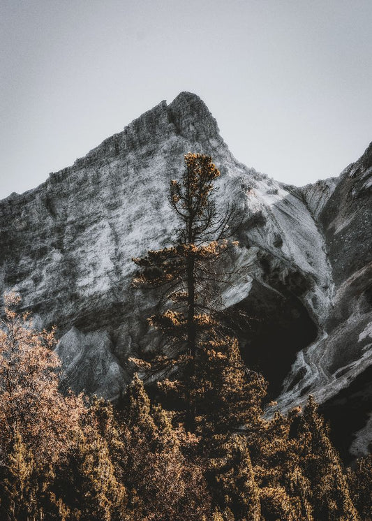 O Guardião da Montanha