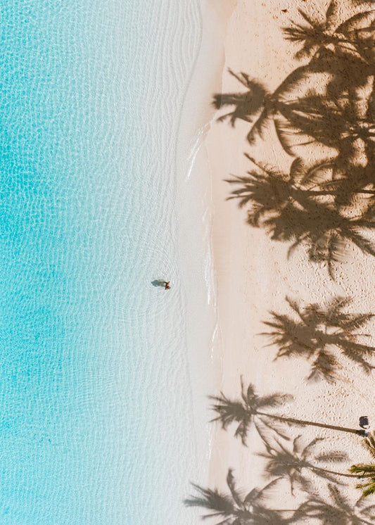 Sombra das Palmeiras